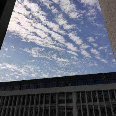 万博(ManBetx)下载手机版